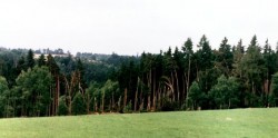 Pohled z louky do údolí Boreckého potoka 